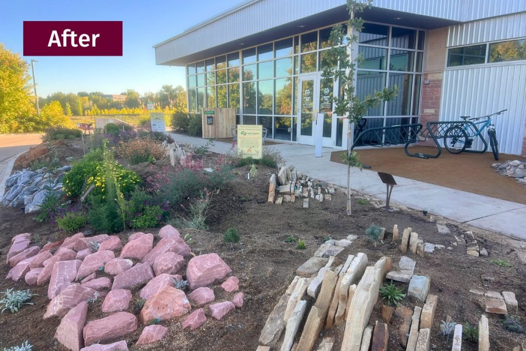 After photo of CSU crevice garden demonstration area