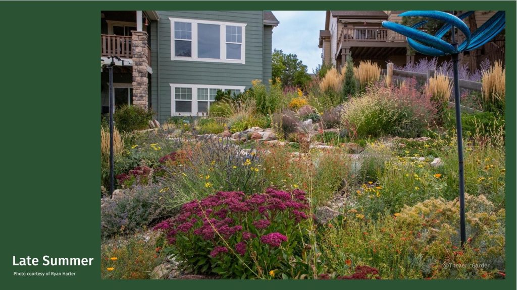 Late summer in Ryan Harter's yard