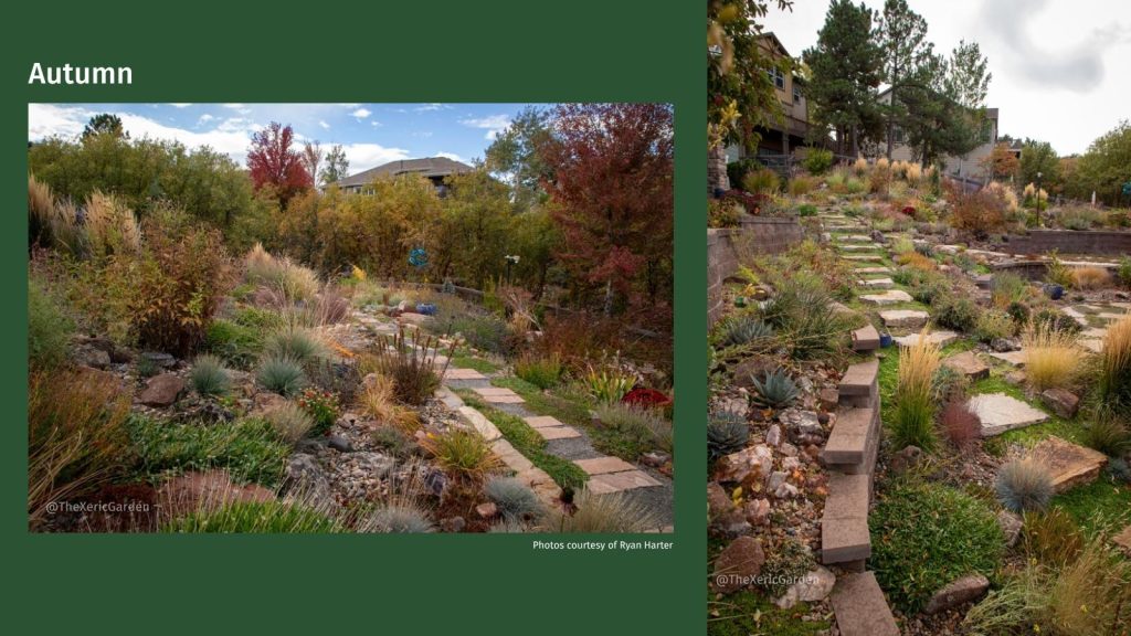Autumn in Ryan Harter's yard