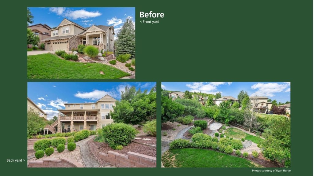 Before photos - Ryan Harter's yard