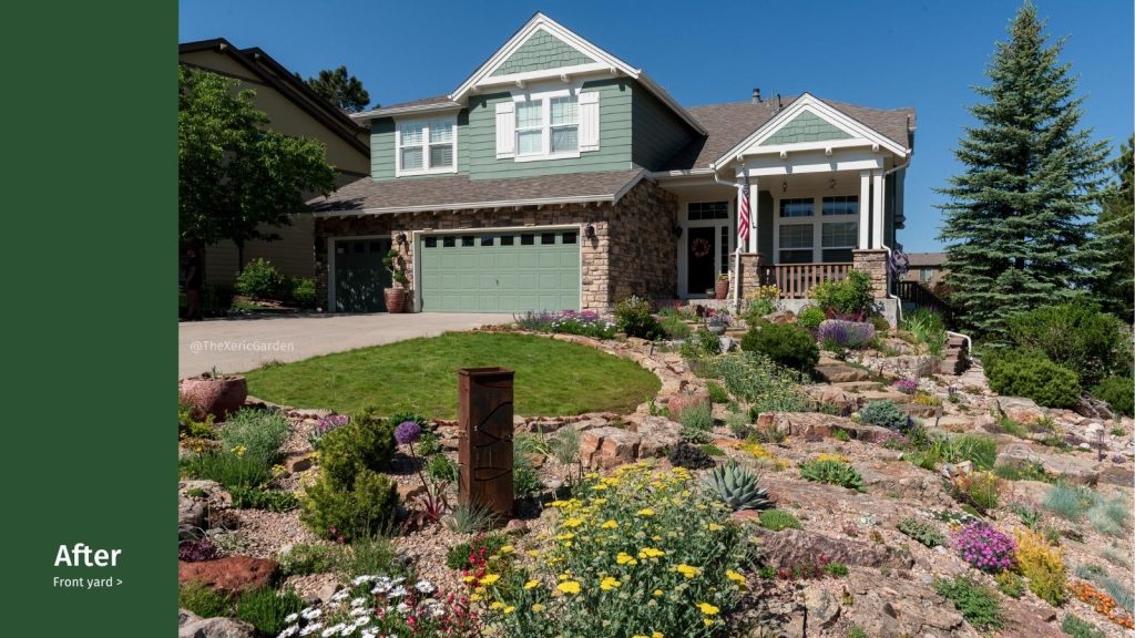 Ryan Harter's front yard landscape xeriscape | Colorado | In an HOA
