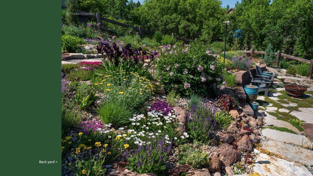 Ryan Harter's back yard in early June