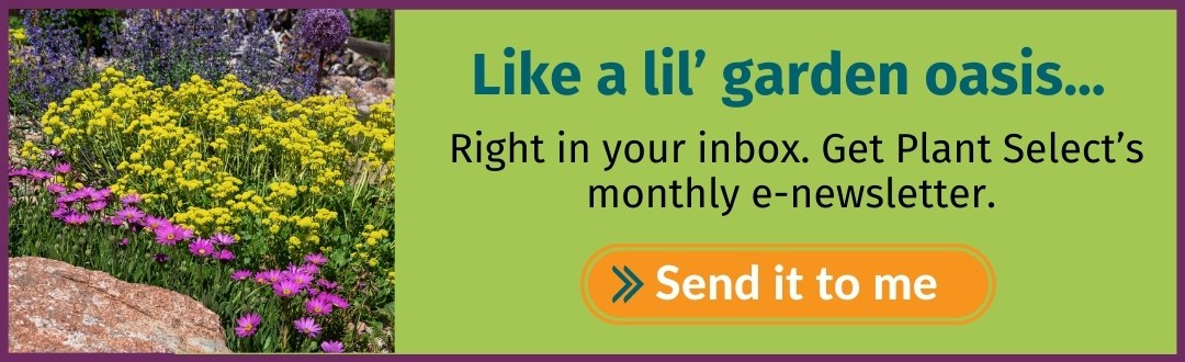 Sign up for Plant Select's e-newsletter