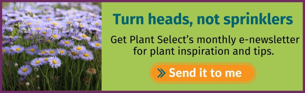 Get Plant Select's monthly e-newsletter.