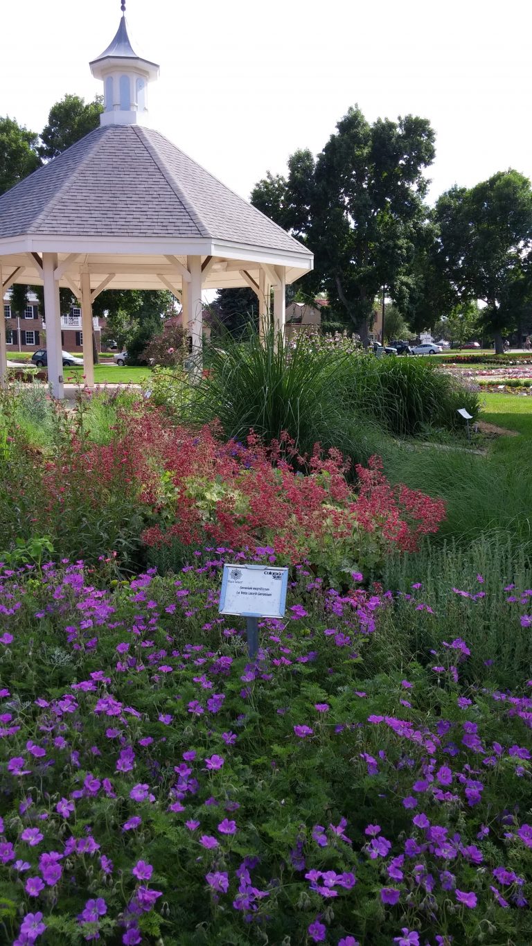 2016 Top performers announced | Plant SelectPlant Select