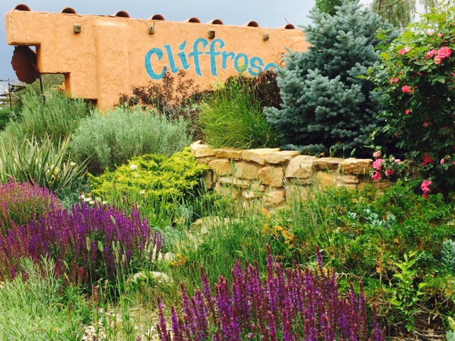 Cliffrose Your High Desert Gardens Cortez Plant Select