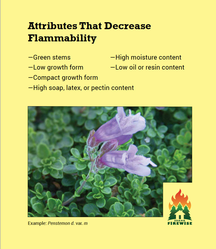 The types of plants to include in a fire resistant landscape in Idaho, Colorado, Utah, California, etc.