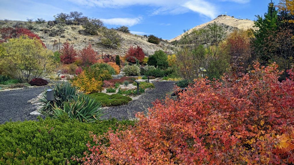 Fall in the Idaho Firewise Demonstration garden in Idaho - this garden showcase fire resistant landscaping
