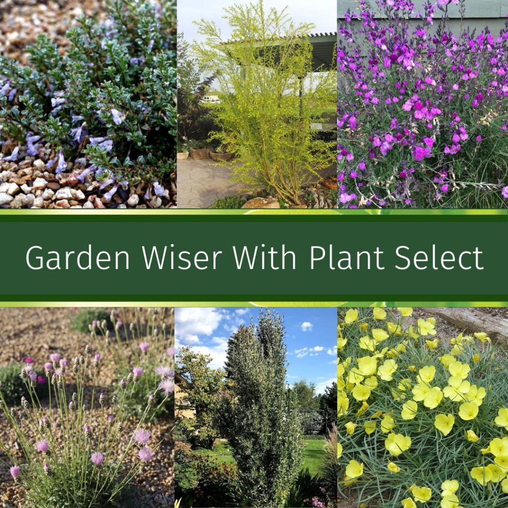 Garden Wiser With Plant Select Event at Participating Garden Centers in Colorado and Wyoming
