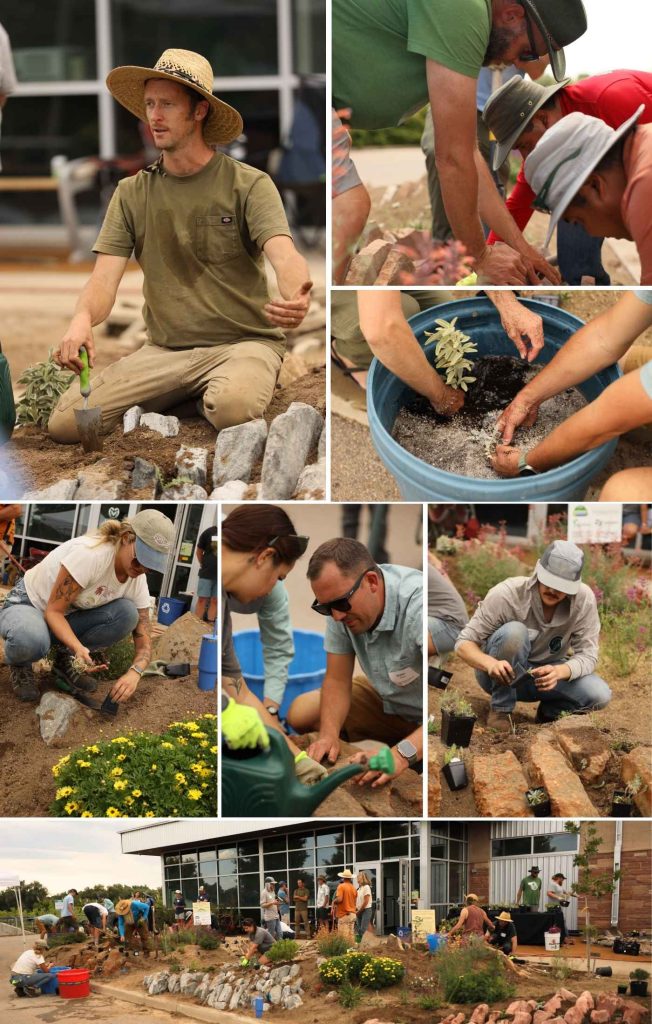 Kenton Seth teaches bare-root planting techniques in crevice garden masterclass