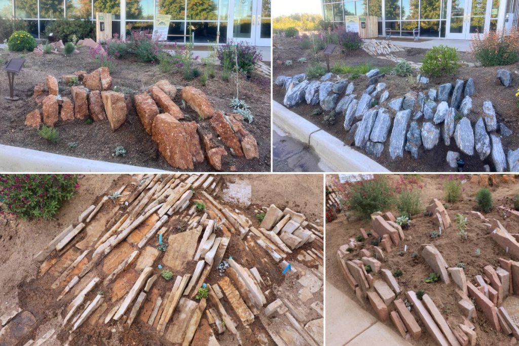 Different rock materials used in a crevice garden demonstration area, from stained concrete, to granite rip rap, to flagstone