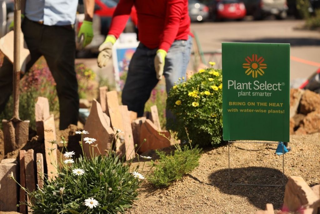 Plant Select sign in crevice garden display