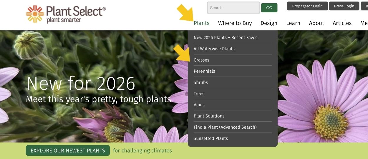 New Features to Get Waterwise Plant Info on Plant Select WebsitePlant ...