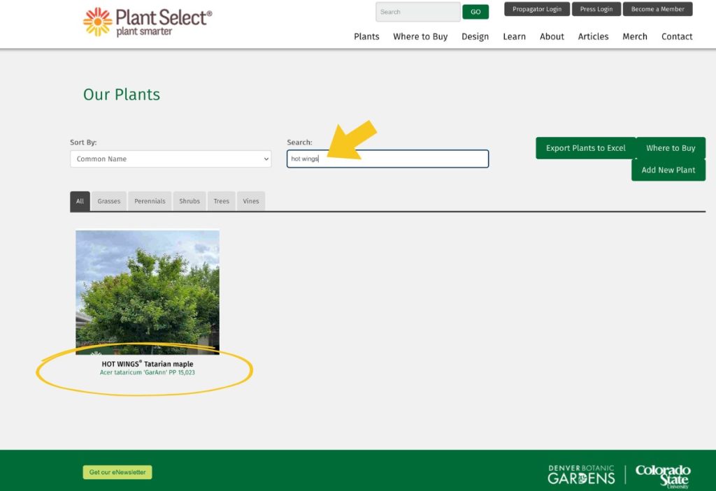 Search for single plant feature
